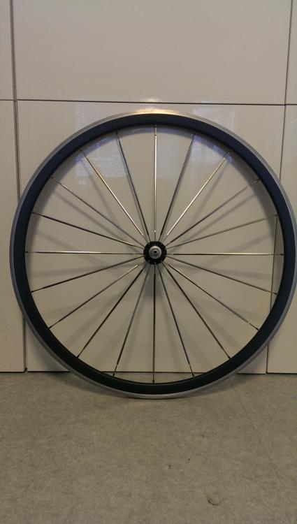 IMAG0373.jpg