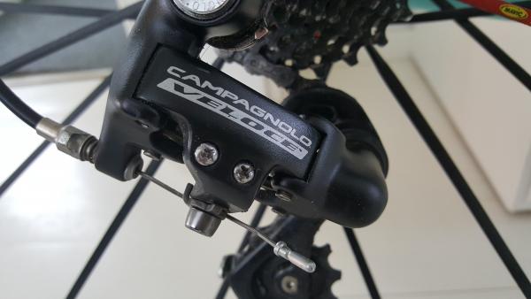 bianchi3.jpg.092244feaa9f248f46fd5e0bd593f1b1.jpg