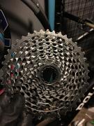 90455DBB-822B-4E5C-8ED0-67D407ECF59E.jpeg