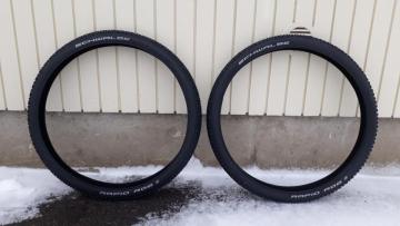 schwalbe1.jpg