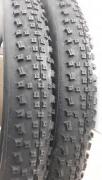 schwalbe2.jpg