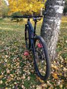 IMG_20181014_155306.jpg