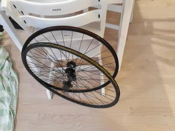 20190323_181455.jpg