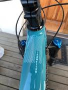 IMG_0088.thumb.jpg.b049964087b285e1c50eeb1b5e2c6ba9.jpg