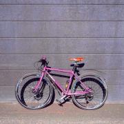 Surly.JPG