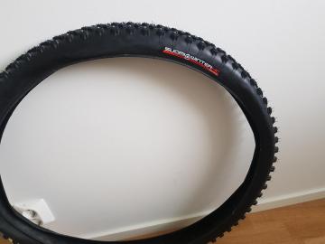 20190501_150223.jpg