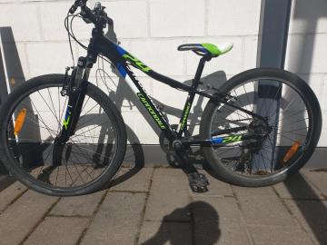 Cannondale.jpg