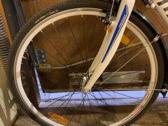 E707CB06-E3ED-48CC-9EA5-A6C8127F6269.jpeg