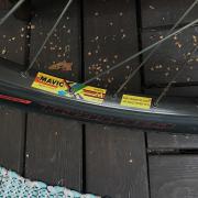 IMG_4620.JPG