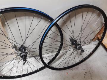 20190924_093931.jpg
