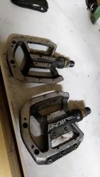 IMG_20200216_210813.jpg