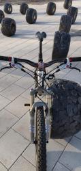 IMG_20200225_152742.jpg