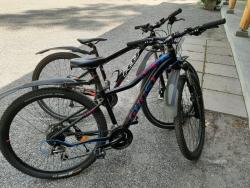 Resized_20190724_154207.jpeg