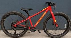 cujo24LTD.JPG
