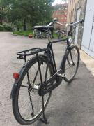 pashley3.jpg