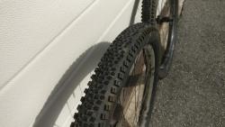 IMG_20200420_154816.jpg