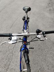 IMG_20200428_154118.jpg