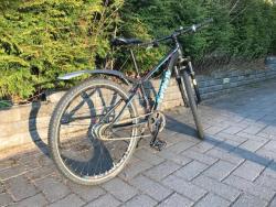 Nishiki Timbuk2.jpg