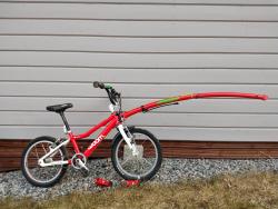 IMG_20200426_101424022.jpg