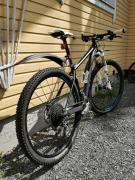 IMG_20200620_130342.jpg
