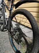 IMG_20200620_130528.jpg