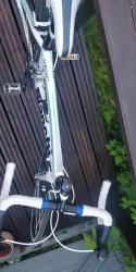 IMG_20200623_084217.jpg
