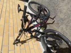 E8BD5518-6D01-432B-B776-7C782A887864.jpeg