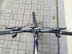 IMG_20200708_161233.jpg