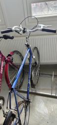 IMG_20200721_182256.jpg