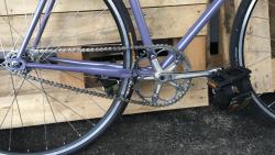 surly2.JPG