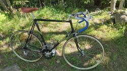 Nishiki2 – kopio.jpg