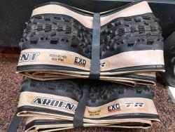 Maxxis Ardent 29x2.4 TLR.jpg