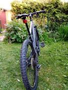 IMG_20200612_200514.jpg