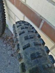 IMG_20200816_134230.jpg