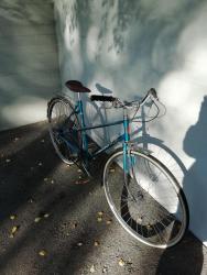 IMG_20200828_084109.jpg
