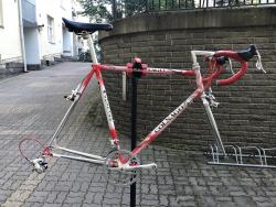 IMG_2607.jpeg