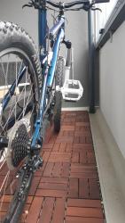 20200912_120205.jpg