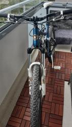 20200912_120412.jpg