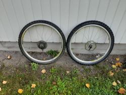 20200927_125615.jpg