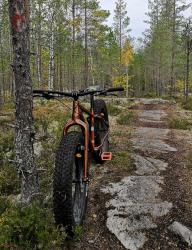 IMG_20200920_122732 (2).jpg