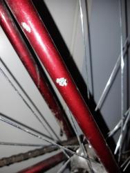 20201007_144743.jpg