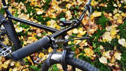 IMG_20201028_103217.jpg