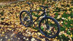 IMG_20201028_103254.jpg