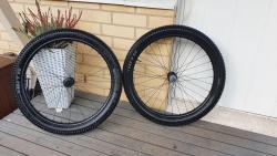20201007_101044.jpg