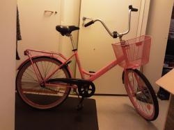 20201107_071150.jpg