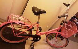 20201107_072557.jpg