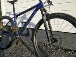 IMG_20201106_103921.jpg