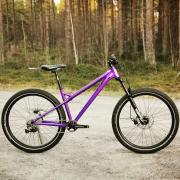 IMG_20201108_165629_868.jpg