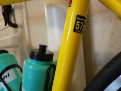 IMG_20201118_130437.jpg