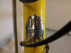IMG_20201118_130501.jpg